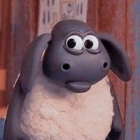 T/g 🐑