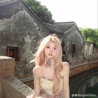 Tô Nhã Anh _ dì