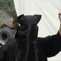 Các Kagemusha