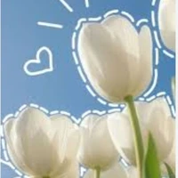 T/G