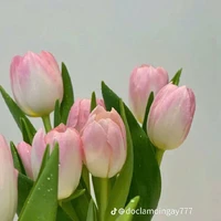 Tác giả iu mọi người