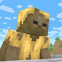 Husk