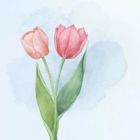 all( trừ vài người)