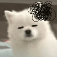 cưng mọi thể loại vai