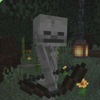Skeleton