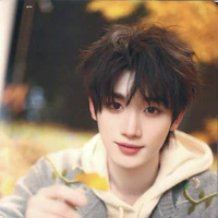 Đinh Trình Hâm(em)