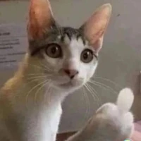 T/G xàm lồn