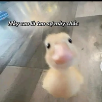 tác giả lùn
