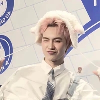 Nguyễn Thái Sơn (Jsol)