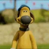 Tg hiền lành thân thiện