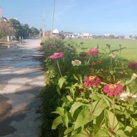 tác giả hỏng bít