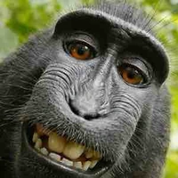 Tác giả đẹp trai🙊