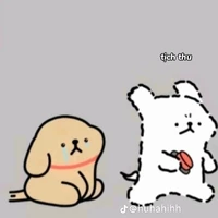 tg nò 