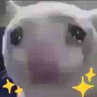 ??? (1)