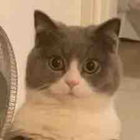 ??? (2)