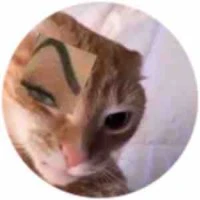 Hệ thống bj ảo tưởng mình đẹp zai