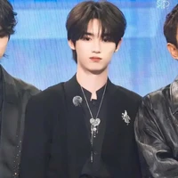 Đinh Trình Hâm-anh