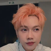 Nguyễn Thái Sơn