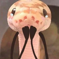 Ki
