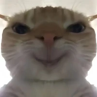 tác zả cute nhứt hành tinh😏😊(Quin)