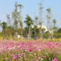 Mẹ