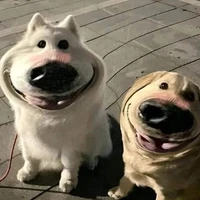 t/giả khùng điên