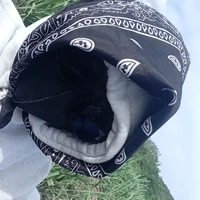 ăn trộm trái tim 