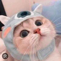 tác giả 