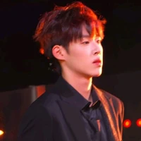 Trương Lục Nam-Zend