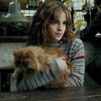 Hermione Granger