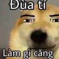 T/g bị khùng