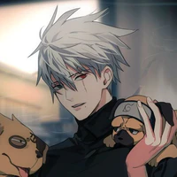 KAKASHI