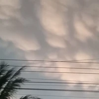 t/g đẹp trai