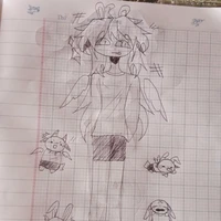 t/g mê 1x4 x shed;))