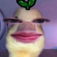 Tg xàm lòn