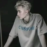 Trần Đăng Dương-Domic