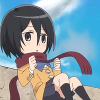 mikasa