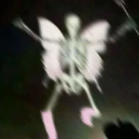 chuồn chuồn ☘️ (bạn)