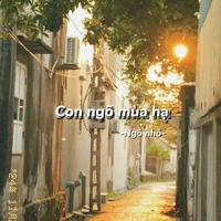 Con ngõ mùa hạ -Ngõ nhỏ -