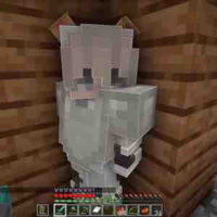 16_DonMC