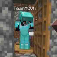 ToanMCVN
