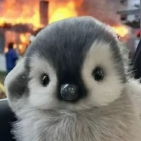 tác giả đẹp gái:))))