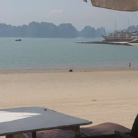 Cốm thích kitkat