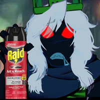Y/N