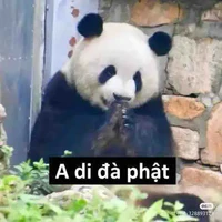 hoc sinh