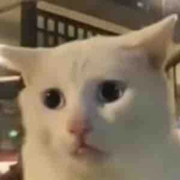 T/g hay buồn ngủ 