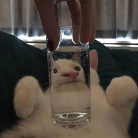 tgia ngầu lòi🐧