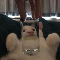 tgia ngầu lòi🐧