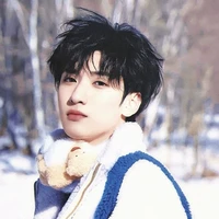 Nghiêm Hạo Tường