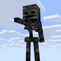 Wither Skeleton